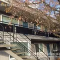 1 bedroom apartment for rent in Lake City - North Seattle, Seattle