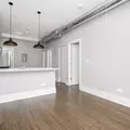 1 bedroom apartment for rent in Lower West Side - West Side, Chicago
