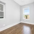 1 bedroom apartment for rent in Lower West Side - West Side, Chicago