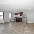 1 bedroom apartment for rent in South Shore - South Side, Chicago