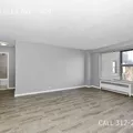 1 bedroom apartment for rent in South Shore - South Side, Chicago