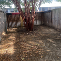 Coliving in Richardson - Ne Dallas, Dallas