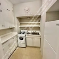 1 bedroom apartment for rent in City Park - Center Denver, Denver