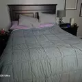 Coliving in Worcester - Metro Area, Boston