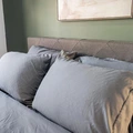 Coliving in Cecil B. Moore - North Philadelphia, Philadelphia