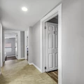 Coliving in Jungle Terrace - Clearwater-St. Petersburg, Tampa