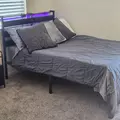Coliving in Royal Oak - Oakland County, Detroit