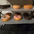Coliving in Royal Oak - Oakland County, Detroit