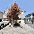 2 bedrooms apartment for rent in Mar Vista - Westside / South Bay, Los Angeles