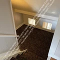 1 bedroom apartment for rent in City Park - Center Denver, Denver