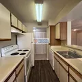1 bedroom apartment for rent in Orlovista - West Orlando, Orlando