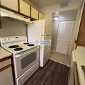 1 bedroom apartment for rent in Orlovista - West Orlando, Orlando