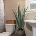 Coliving in Maryvale - Phoenix, Phoenix