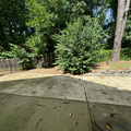 Coliving in Apex - Outer Triangle, Raleigh
