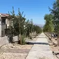 3 bedrooms apartment for rent in Summerlin - Summerlin, Las Vegas