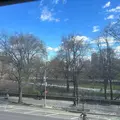 1 bedroom apartment for rent in Upper West Side - Manhattan, New York