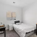 Coliving in Las Vegas - Las Vegas, Las Vegas