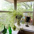 Coliving in Southwest Arlington - Arlington, Dallas