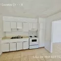 1 bedroom apartment for rent in University - North Tampa, Tampa
