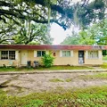 1 bedroom apartment for rent in University - North Tampa, Tampa