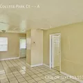 2 bedrooms apartment for rent in University Square - North Tampa, Tampa