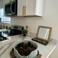 Coliving in Daytona Beach - Outer Orlando, Orlando