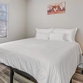 Coliving in Sulphur Springs - North Tampa, Tampa