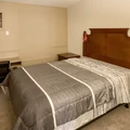 Coliving in Hyde Park JAX - Westside, Jacksonville