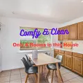 Coliving in Seminole Heights - North Tampa, Tampa