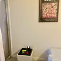 Coliving in Midtown - Central/Midtown Tucson, Tucson