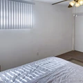 Coliving in Westchase - West Houston, Houston
