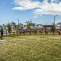 Coliving in Research Triangle Park - Durham, Raleigh