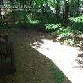 3 bedrooms apartment for rent in East Raleigh - South Raleigh, Raleigh
