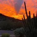 4 bedrooms apartment for rent in Biltmore Area - Phoenix, Phoenix