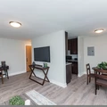 1 bedroom apartment for rent in Lincoln Park - North Side, Chicago