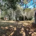 Coliving in Lake Forest - Northside, Jacksonville