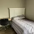 Coliving in Greater Fondren Southwest - Sw Houston, Houston