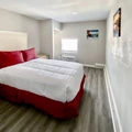 Coliving in North Las Vegas - North Las Vegas, Las Vegas