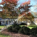 2 bedrooms apartment for rent in Anderson Heights - North Raleigh, Raleigh