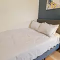 Coliving in Cecil B. Moore - North Philadelphia, Philadelphia