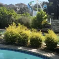 Coliving in Far North Central - North SATX, San Antonio