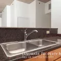 1 bedroom apartment for rent in South Loop - Central, Chicago