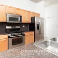 1 bedroom apartment for rent in South Loop - Central, Chicago