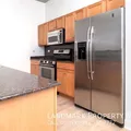 1 bedroom apartment for rent in South Loop - Central, Chicago
