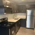 1 bedroom apartment for rent in West Mount Airy - Nw Philadelphia, Philadelphia