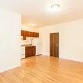 1 bedroom apartment for rent in Logan Square - North Side, Chicago
