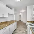 3 bedrooms apartment for rent in University - North Tampa, Tampa
