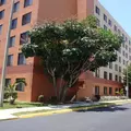 1 bedroom apartment for rent in Little Haiti - Miami, Miami