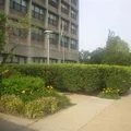 1 bedroom apartment for rent in Downtown Louisville - Central Louisville, Louisville