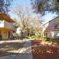 2 bedrooms apartment for rent in Paradise - Paradise, Las Vegas